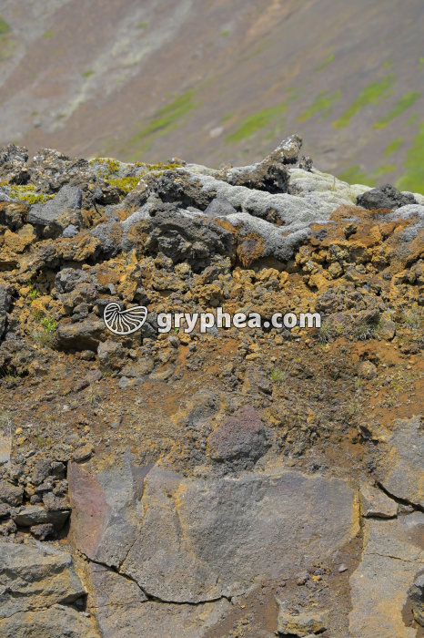 Sol sur basalte - sol en formation sur ancienne coulée  de lave basaltique - gryphea.com